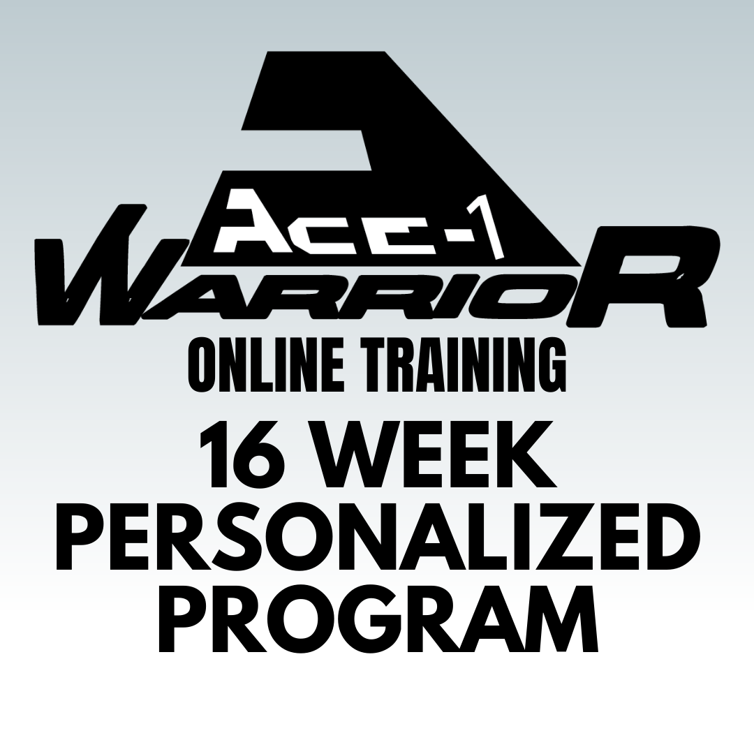 16 Week Personalized Online Workout Program (Diamond)